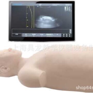 超声引导下腹腔穿刺技能训练模型超声引导下腹腔穿刺技能训练模型