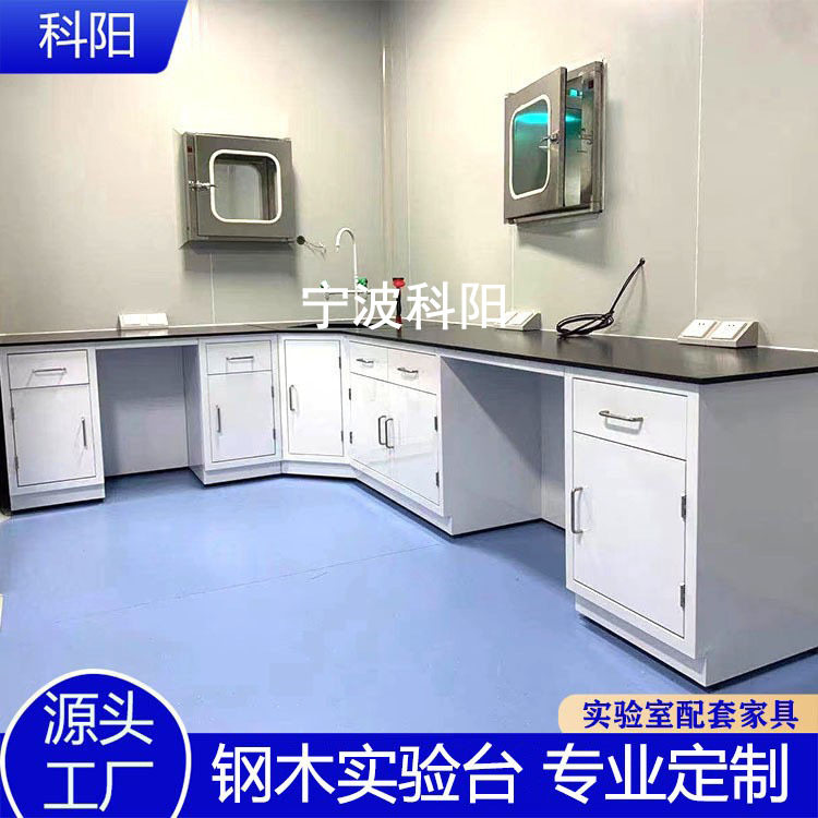 全钢实验台钢木化验台实验室水槽台通风橱柜PP试验工作台中央边台