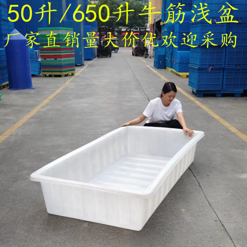 加厚大号塑料牛筋浅盆水产养殖海鲜长方形熟料方盆环保养龟盆滚塑