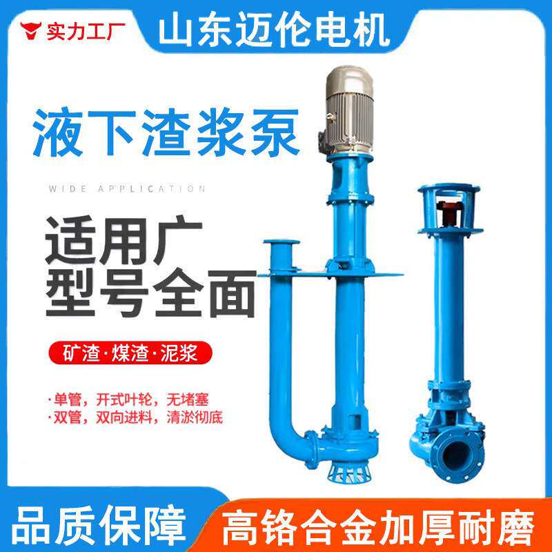 液下渣浆泵无堵塞排污泵耐磨耐腐污水泵吸污三相泥浆沙粒泵泵王