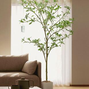 马醉木仿真绿植造景树仿生植物装饰摆件室内轻奢落地假树