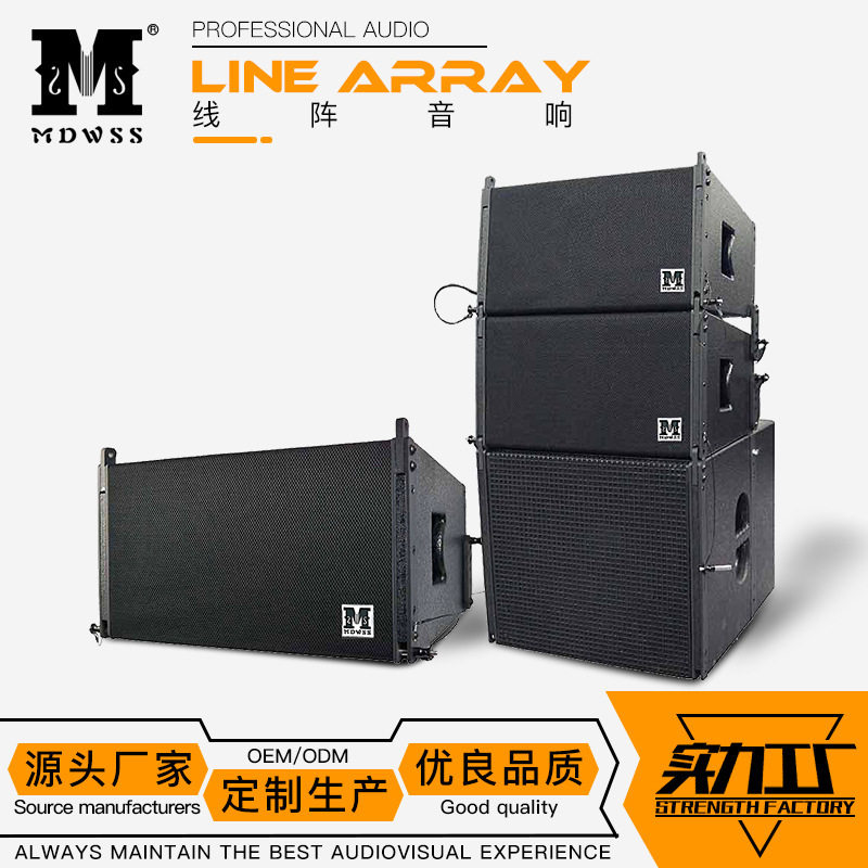 厂家供应TWVR10单10寸线阵音箱阵列音响专业舞台户外演出线阵音箱