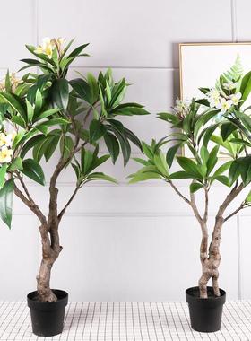 仿真鸡蛋花树大型庭院造景假树装饰民宿植物盆栽摆设摆件花树