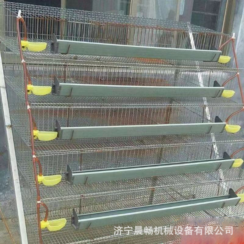立式阶梯镀锌蛋鸡笼全自动多层双边蛋鸡养殖笼热镀耐碱现货批发