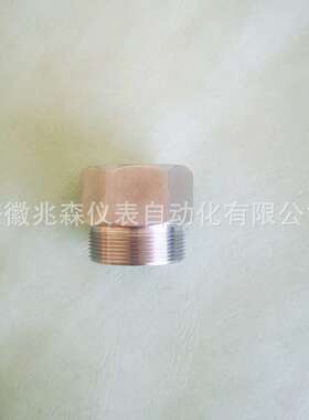 仪表变径接头M36X2-M35X1.5-M40X1.5-M42X2-1NPT-3/4NPT-M39X1.5