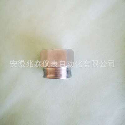 仪表变径接头M36X2-M35X1.5-M40X1.5-M42X2-1NPT-3/4NPT-M39X1.5