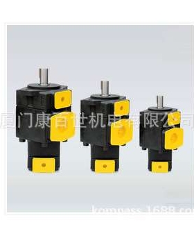 T6CC 012 008/010/012/1R00/1R01/1R02/1R03 C100 DENISON 丹尼逊