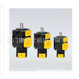 T6CC 012 008/010/012/1R00/1R01/1R02/1R03 C100 DENISON 丹尼逊