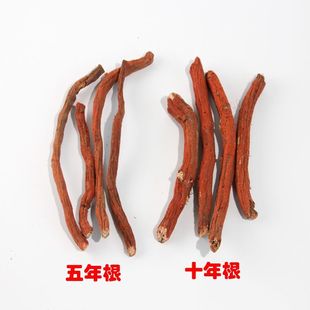 正宗野生白花丹参山东正品白花丹参天然无硫熏可打粉老师推荐批发