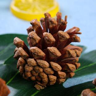 工装艺品原料油松果 人工 手松果盒装 圣诞饰摆选件染盒装油松白
