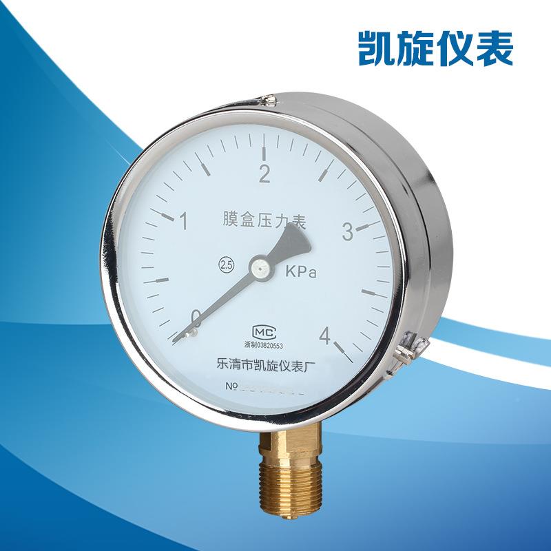 YE100仪表卖家销热表压力表 Y膜E100盒压力 质量上乘