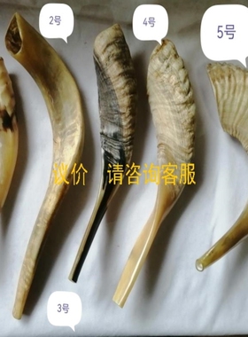 议价询价羊角号小号 以色列原装进口 天然真公羊角号角rams horn