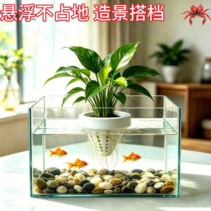 鱼缸水培漂浮定植篮免固定自由漂浮造景创意绿植水培篮