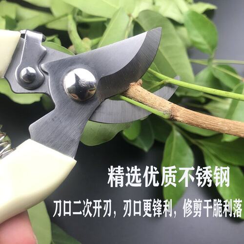 园林花艺专用果树花卉修剪工具园艺树枝花剪修剪剪刀