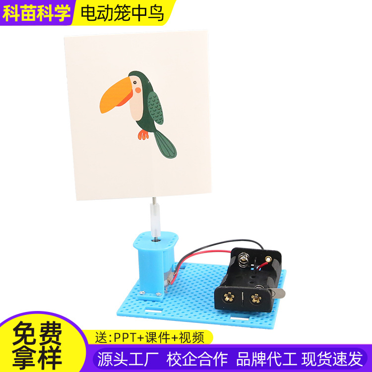 学生diy自制科技小制作视觉停留电动笼中鸟科学实验儿童益智教具