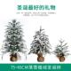 圣诞装 饰用品PE植绒树圣诞场景布置雪景树商场酒店橱窗装 扮树摆件