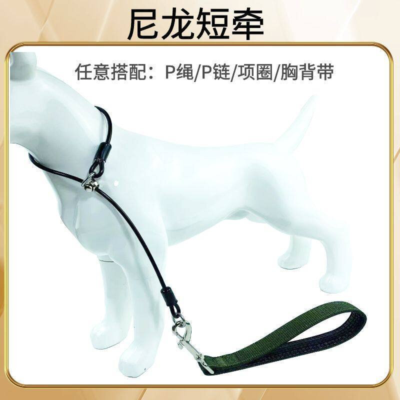比赛训练专用金毛边牧中大型犬遛狗P绳牵狗手柄防爆冲牵引狗链
