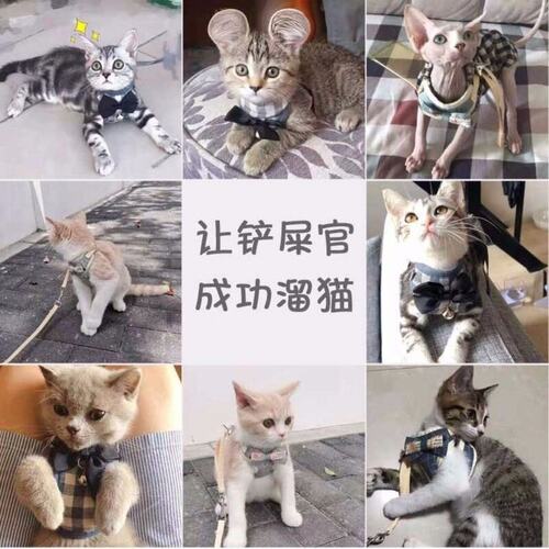 13斤小奶猫外出幼猫牵引绳溜猫咪绳泰迪小型犬狗狗随身绳
