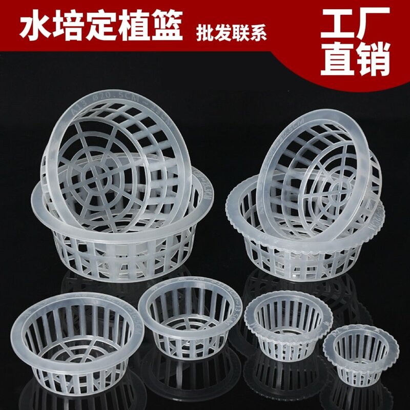 土培定植篮水培植物玻璃花瓶可养鱼花篮圆形栽培绿萝富贵竹固根器
