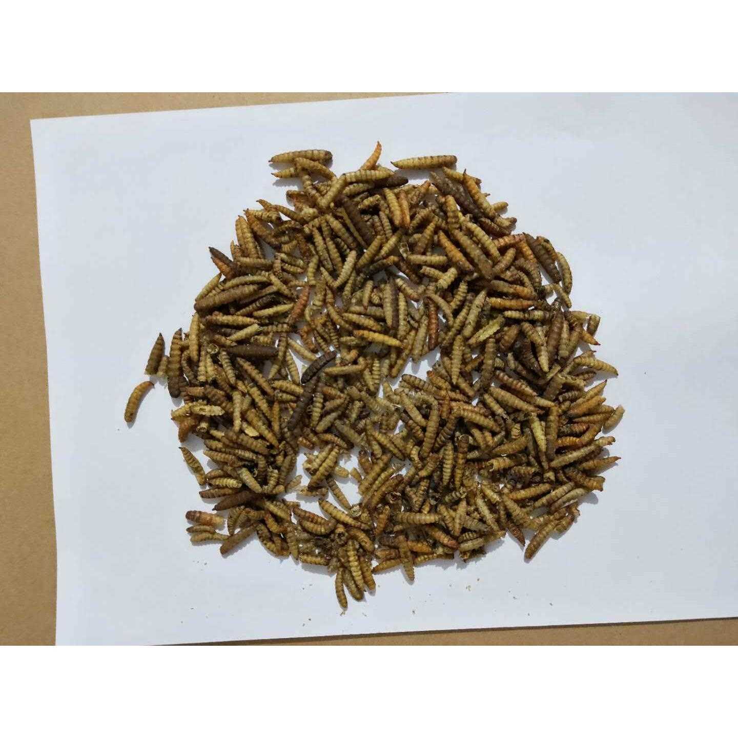 新疆包邮食蟾虫蟾蛆干蟾衣蛆干癞蛤蟆蛆干蟾蜍蛆干蟾皮蛆干癞蛤蟆图片