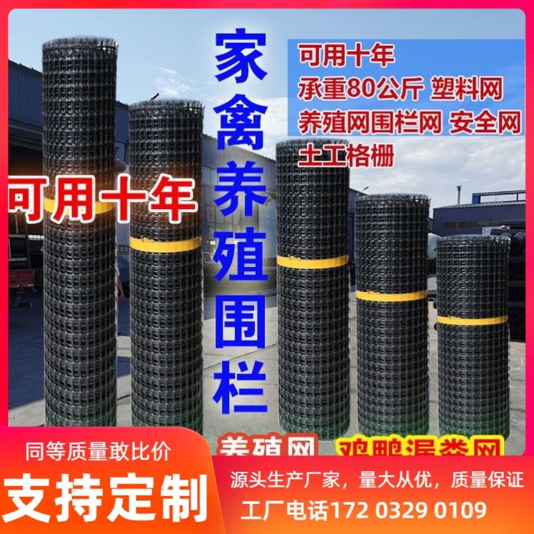 塑料养殖网土工格栅防护玉米网