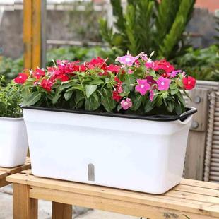 种菜花盆栽蔬菜种植箱家庭阳台塑料自吸水懒人长方形专用箱大 新品