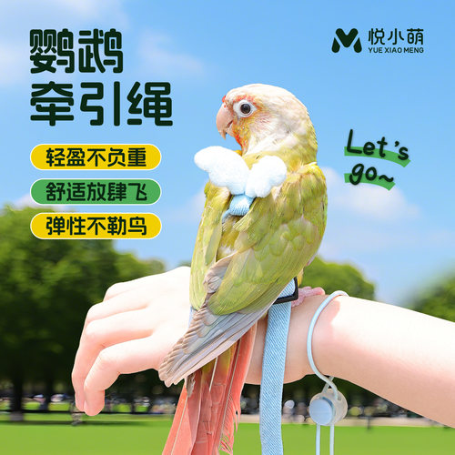 鹦鹉放飞外带绳不伤脚遛鸟神器牡丹玄凤虎皮遛鸟绳鹦鹉用品背心式
