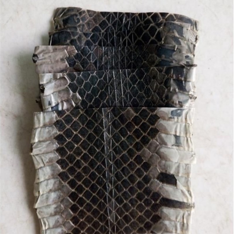 极速乐器配件 单块乌稍皮 越胡皮 D京胡西皮二黄 京二胡曲胡蒙皮