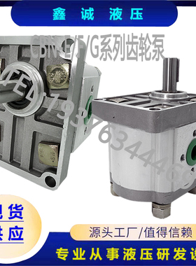 极速新品齿轮泵CBNF3k04 CBNF306 CBNF308 CBNF325 CBNF310 液压