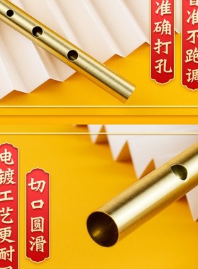 极速Feadog飞叨爱尔兰哨笛锡笛C调D调风笛初学生T哨笛我心永恒笛