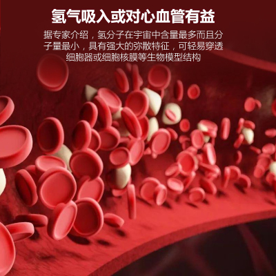 极速新款氢氧吸氢机家用制氢w机氢氧发生器PEM电解富氢水机雾化机
