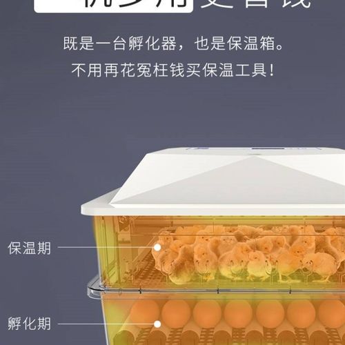 极速厂促厂促孵化器小型家用型m孵化机全自动智T能卵蛋小鸡孵蛋器