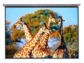 极速全新红金叶 84寸 B16:9金属电动投影幕布