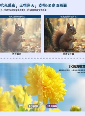 VIVIDSTORM长焦距抗光幕布遥控电动升降天花降落幕ALR高清投影拉线幕