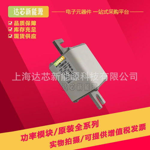 170M5214 170M5215 170M5216 170M5217 170M5218全新巴斯曼熔断器