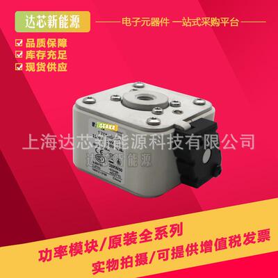 170M6494170M6495170M6496170M6497全新巴斯曼熔断器,保险丝
