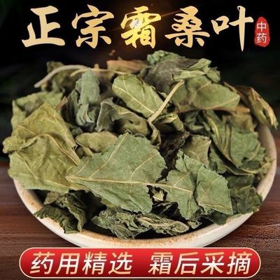 霜桑叶中药材桑叶正品干霜桑叶茶桑叶泡茶桑叶片另售干侧柏叶