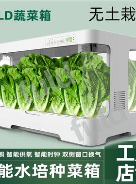 可家用无土栽培生菜种植箱冬天室内水耕蔬菜种菜智慧型种菜机