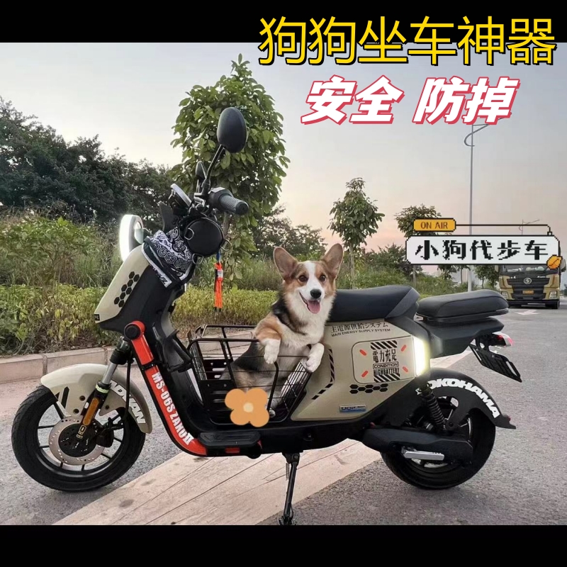 电动车带狗神器狗狗座椅车筐狗狗坐电动车外出小型犬泰迪比熊博美