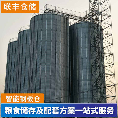 联丰500吨立式圆筒钢板仓