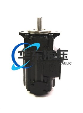 派克PARKER丹尼逊DENISOsN注塑机用T6CC-005-012-1R00-C110叶片泵