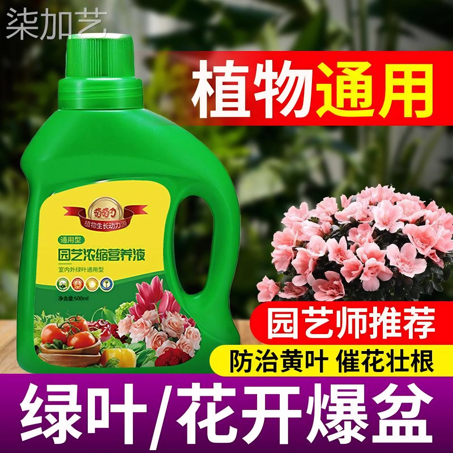 植物营养液通用型花肥水培发财树养花蔷薇玫瑰蔬菜叶菜用营养液体