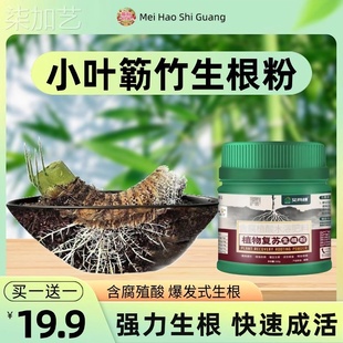 小叶勒竹专用生根粉竹子营养液水培米竹内门竹毛竹竹科复合肥料