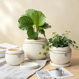 北欧奶油风简约陶土多肉创意个性兰花黄金葛蝴蝶兰家用室内花盆复