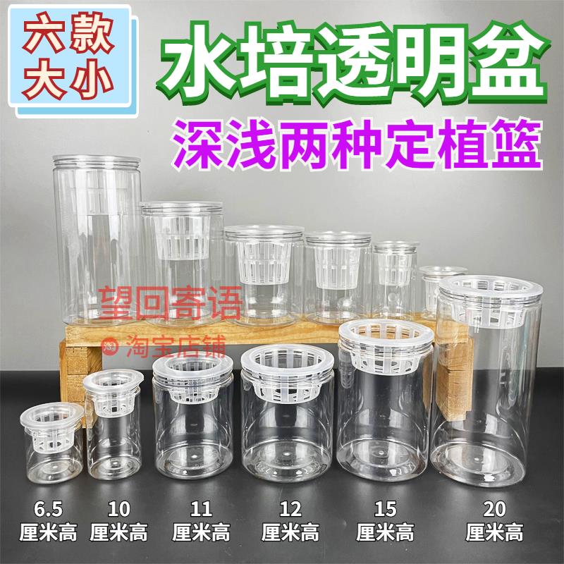 水培透明花盆可种植蔬菜绿植花卉多肉观察根系加厚容器瓶带定植篮