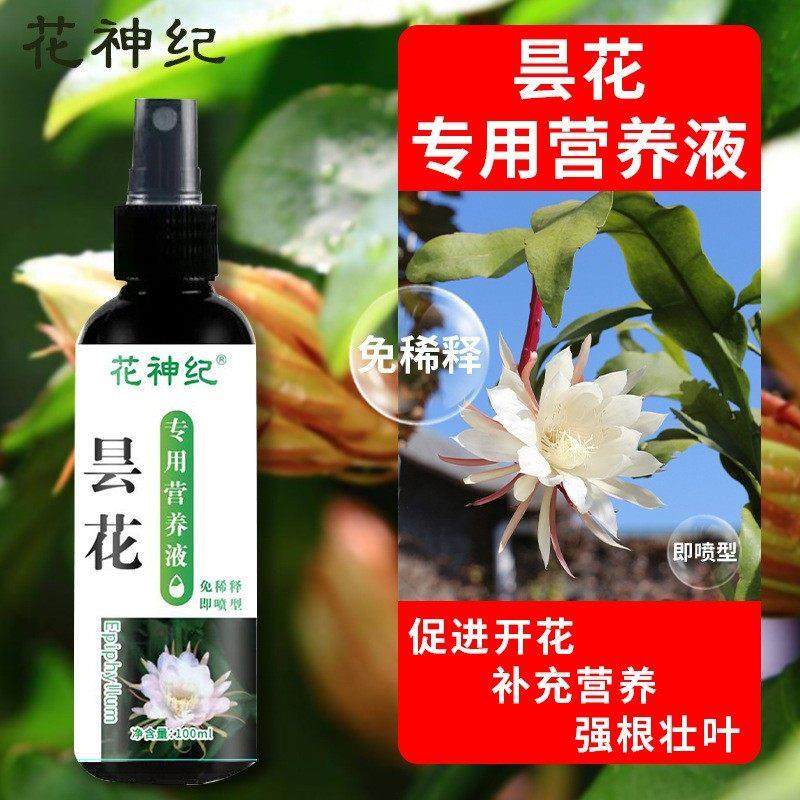 昙花肥料专用肥促开花营养液防黄叶掉花苞盆栽花卉免稀释通用型肥,家居饰品,花盆,淘宝优惠券,粉丝福利购,淘宝优惠卷