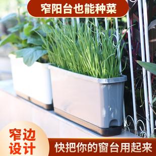 长方形阳台种菜盆窗台长条形食品级家里种菜专用箱极窄边加深花盆