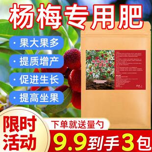 杨梅树专用肥料促花促果增甜增产果树专用复合缓释肥水溶肥有机肥