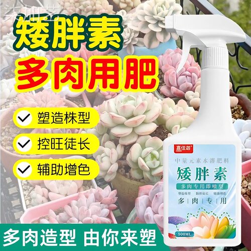 多肉矮胖素增色促进生营养液长长效爆芽肥料专用分裂叶面肥多植物
