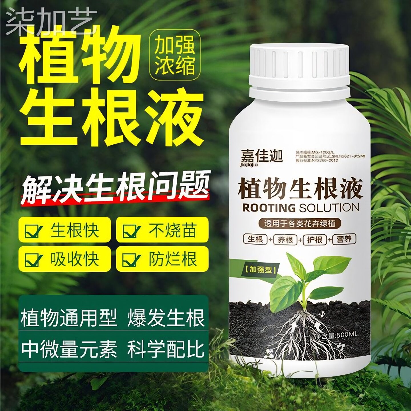 扦插生根液多植物适用月季长寿花家庭园艺植物花卉果树枝条快速生